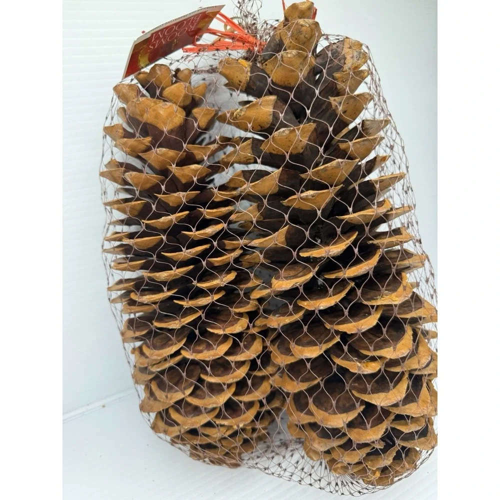 Lot Of 3 Large 13 Inch Sugar Pine Cones New Rooms In Bloom NWT